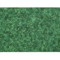 ​兔原代内皮祖细胞