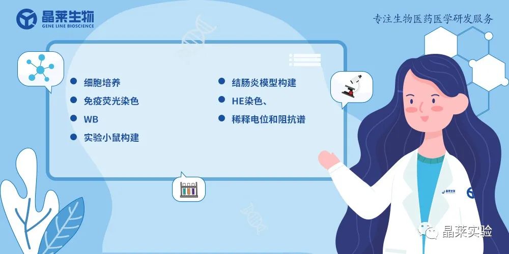 技术资料图片11