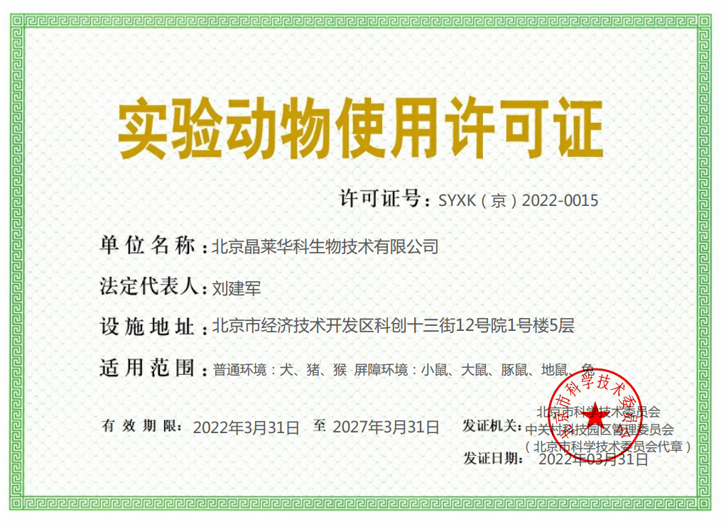 动物造模/动物模型