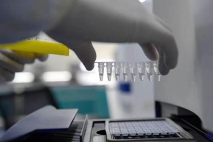 走进 PCR 实验室——你的核酸报告是怎么产生的？