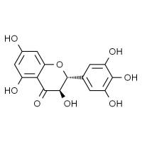 二氢杨梅素 HPLC≥98%