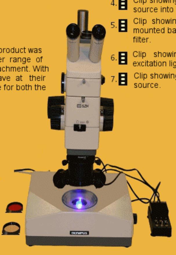 体式荧光显微镜附件