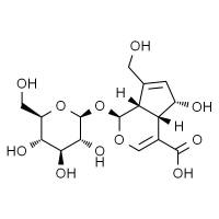 去乙酰车叶草酸 HPLC≥98%