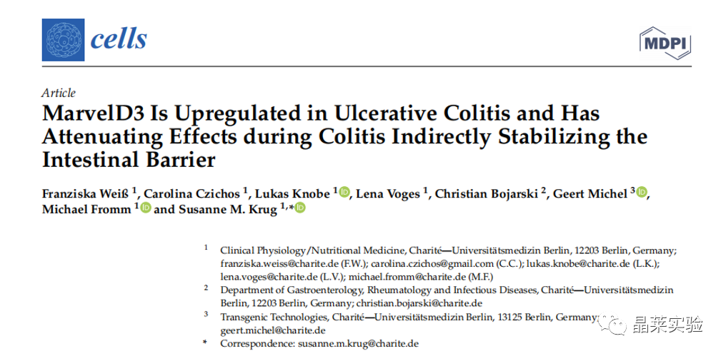 5分钟文献解读之 “MarvelD3在溃疡性结肠炎中上调，在结肠炎期间具有减弱作用，间接稳定肠道屏障”