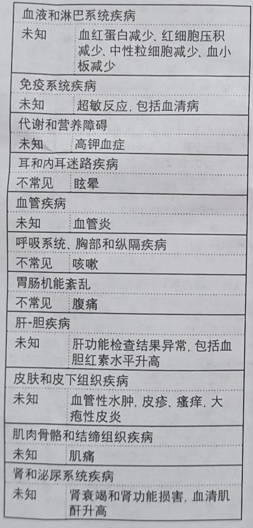 图片预览