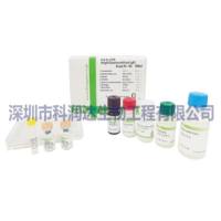 科研抗体人Gd-IgA1(KM55) anti-Human