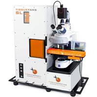 高通量组织原位单细胞空间表型验证定量系统