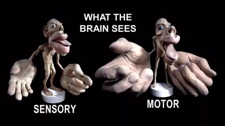 黑豆和葡萄干，为何会出现在儿保医生桌上？