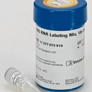 DIG RNA标记混合物 11277073910 现货特价