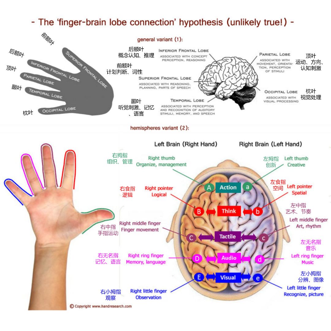 黑豆和葡萄干，为何会出现在儿保医生桌上？