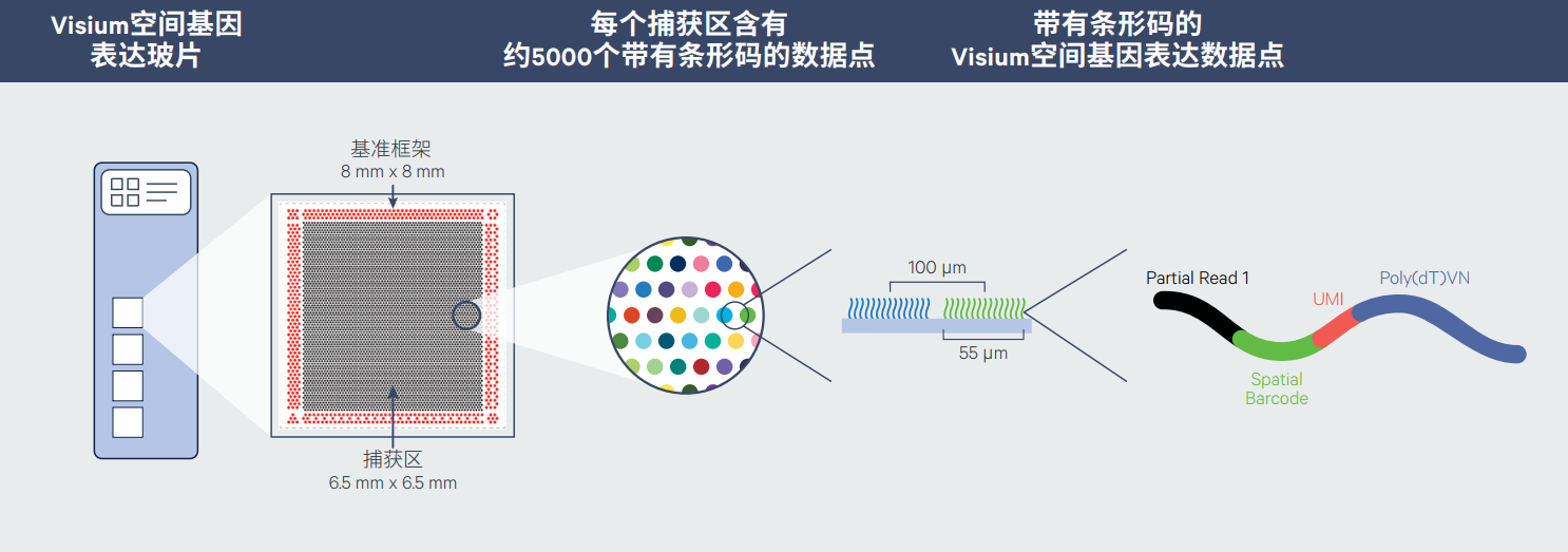 产品细节图片2