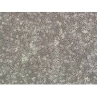 L6565小鼠白血病克隆细胞系