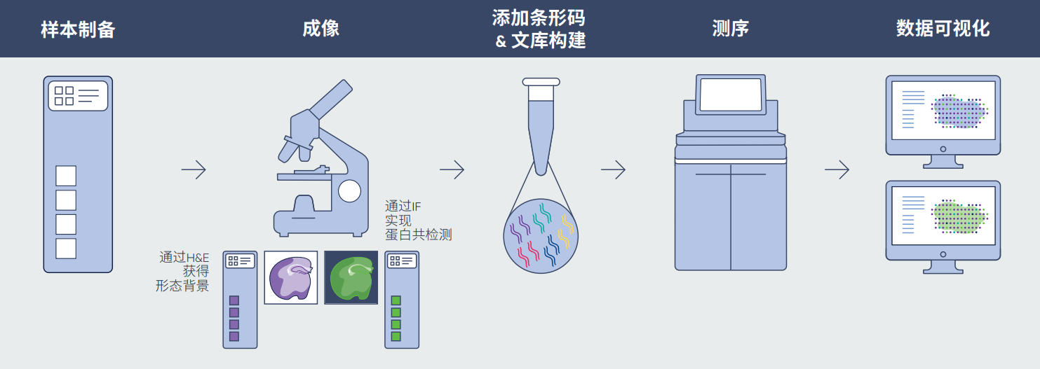 产品细节图片3