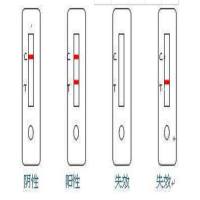 人风疹病毒核酸检测试剂盒(荧光PCR法)