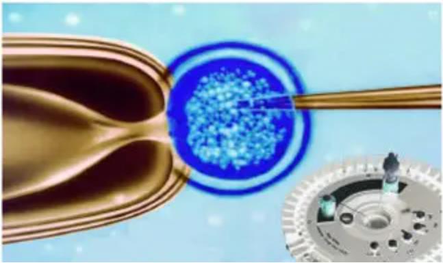 如何选择显微操作器及其配套设备