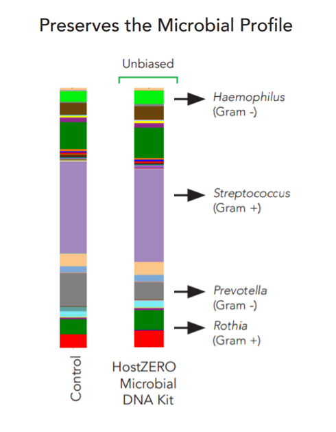 去除宿主DNA的微生物核酸提取