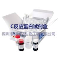 CRP(C反应蛋白）检测试剂盒