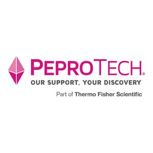 PeproTech小鼠抗人FGF-basic单抗 (cell culture) 500ug