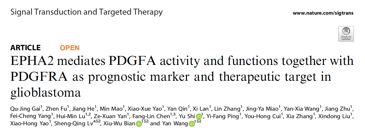 【文献速递】Nature子刊：胶质母细胞瘤靶向治疗新策略-联合抑制PDGFRA和EPHA2