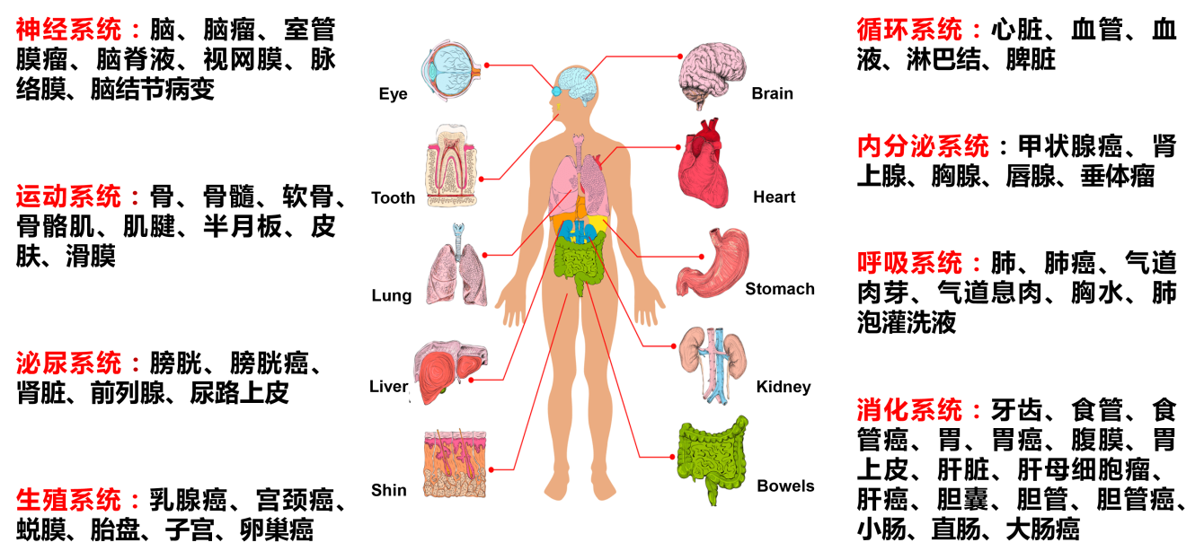 产品细节图片10