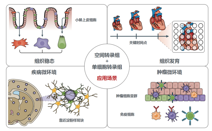 产品细节图片5