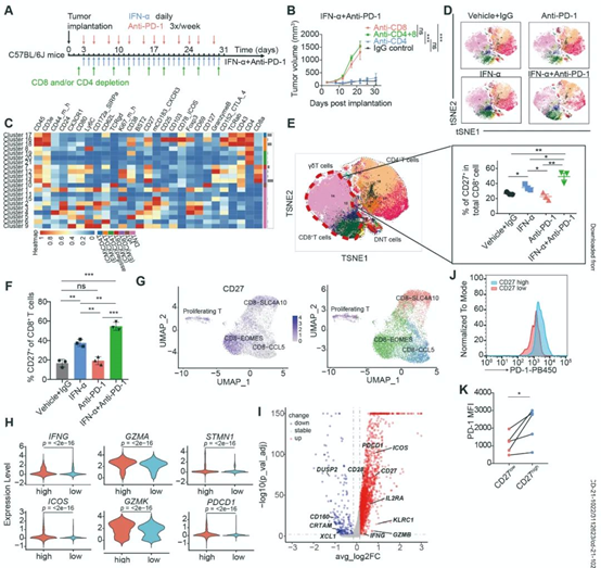 【Cancer Discovery】- Standard Biotools CyTOF技术助力国内学者肝细胞癌免疫治疗研究