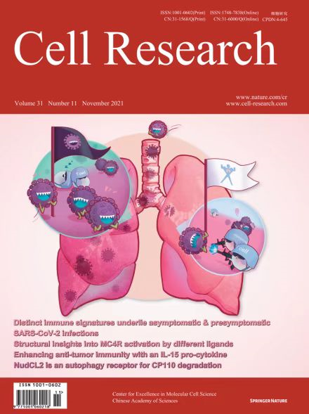 【Cell Research】封面文章：国内学者再创佳绩 -- 质谱流式技术助力新冠患者免疫研究