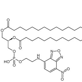 NBD-PE 三乙铵盐1,2-二十六烷酰基-sn-甘油-3-磷酸
