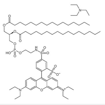 DHPE罗丹明B 1,2-二十六烷酰基-sn-甘油-3-磷酸三乙铵盐