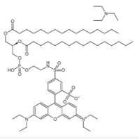 DHPE罗丹明B 1,2-二十六烷酰基-sn-甘油-3-磷酸三乙铵盐