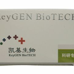 Keygen KGP250 全蛋白提取试剂盒