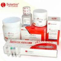 肥大细胞染色液(甲苯胺蓝法)  Solarbio