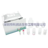 乙脑（JE）试剂盒-酶联免疫法