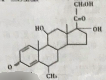 图片预览