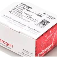 Lipofectamine™ 2000 转染试剂