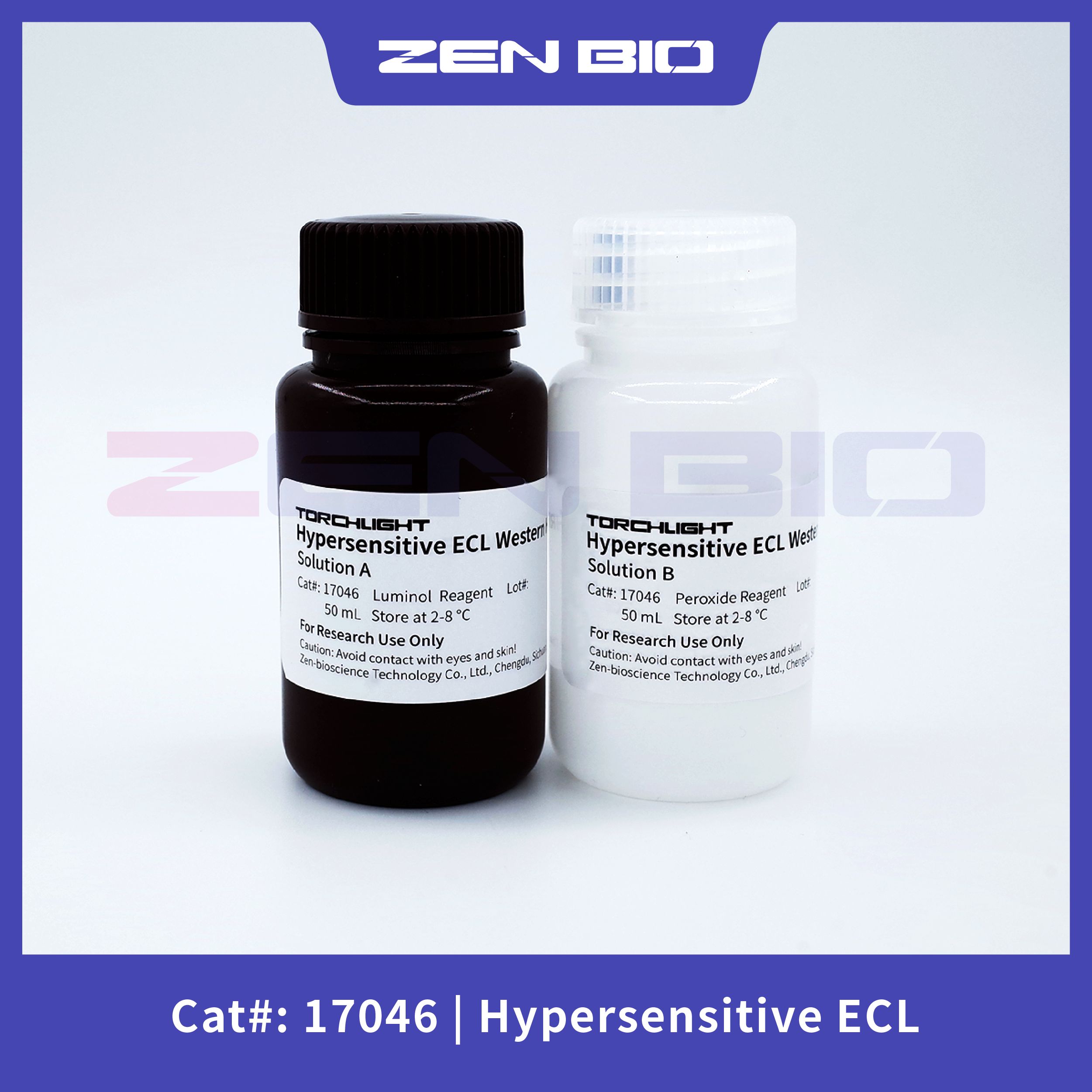 Hypersensitive ECL Western HRP Substrate
