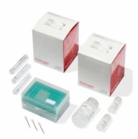Neon™ Transfection System 100 μL Kit