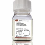 青霉素-链霉素 (10,000 U/mL)