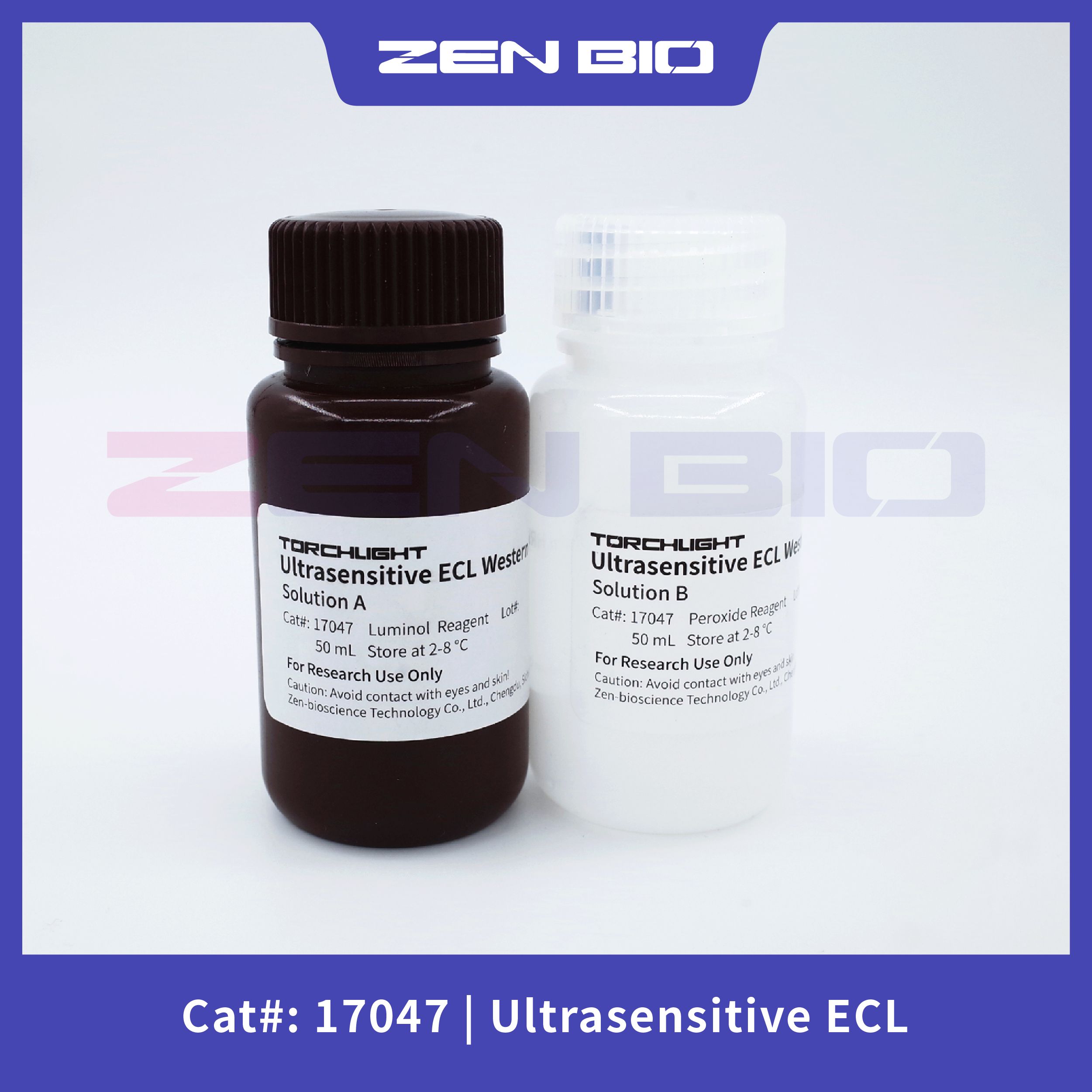 Ultrasensitive ECL Western HRP Substrate