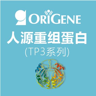 OriGene人源重组蛋白Plus+