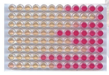 浅谈单抗与多抗的不同之处