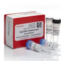 Taq DNA 聚合酶（重组）