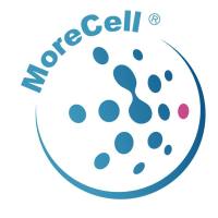 NK-92 人恶性非霍奇金淋巴瘤患者的自然杀伤细胞