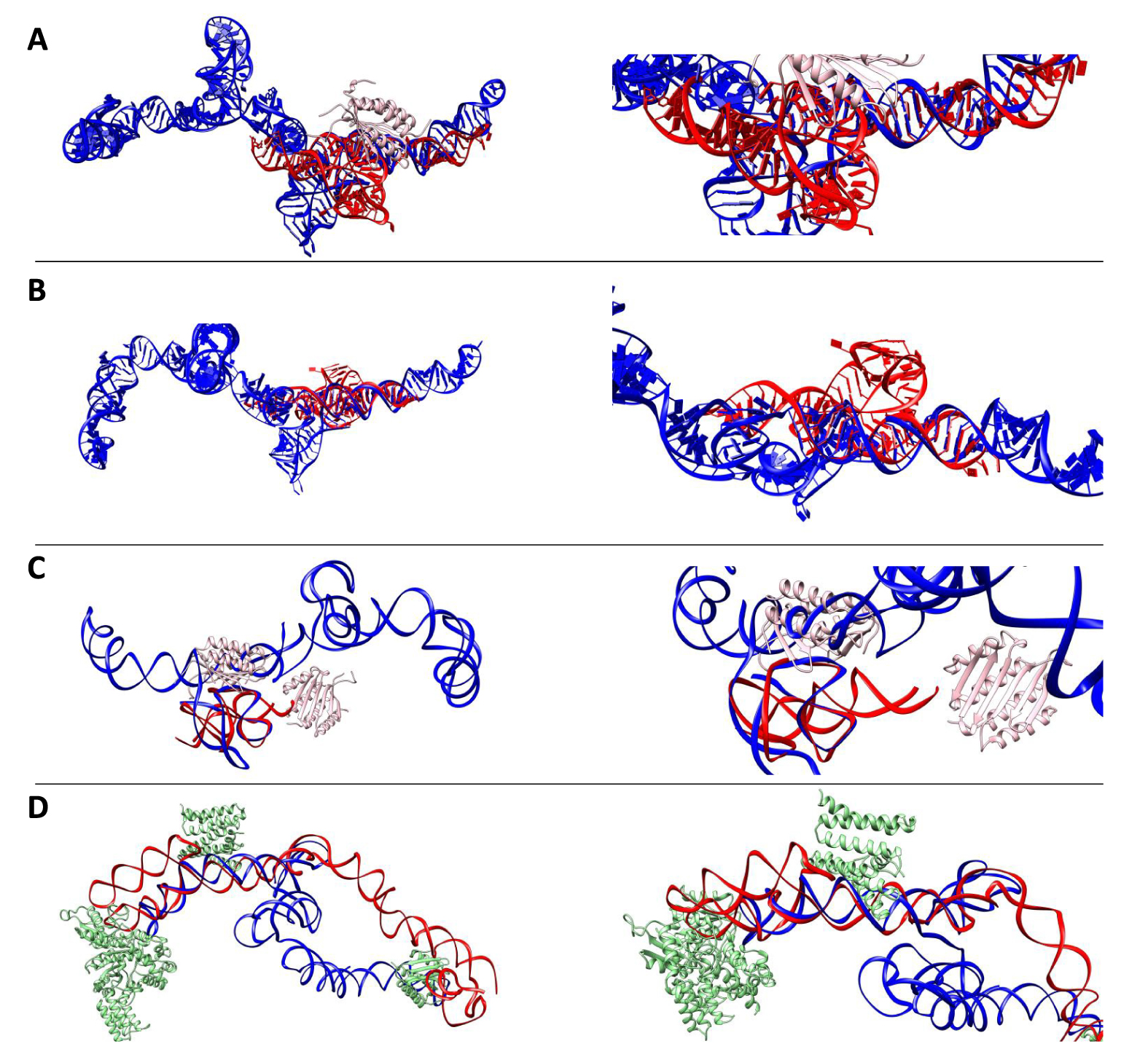 lncRNA研究进展盘点（20220610）