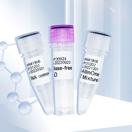 AllinOne RT Mixture IV（gDNA removal）