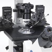 XenoWorks显微注射仪