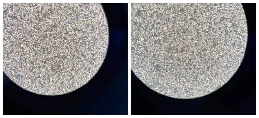 三款无血清细胞冻存液，给您提供更多选择！