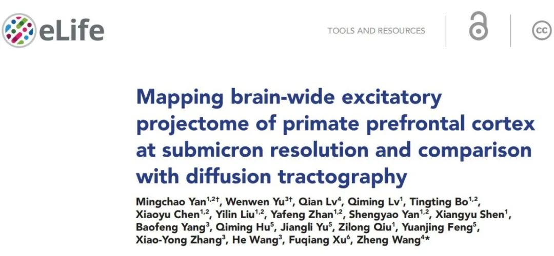 AAV、VSV和 LV在猕猴上的应用