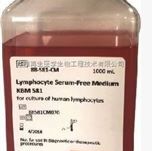 KBM581, serum-free medium for DC and CIK