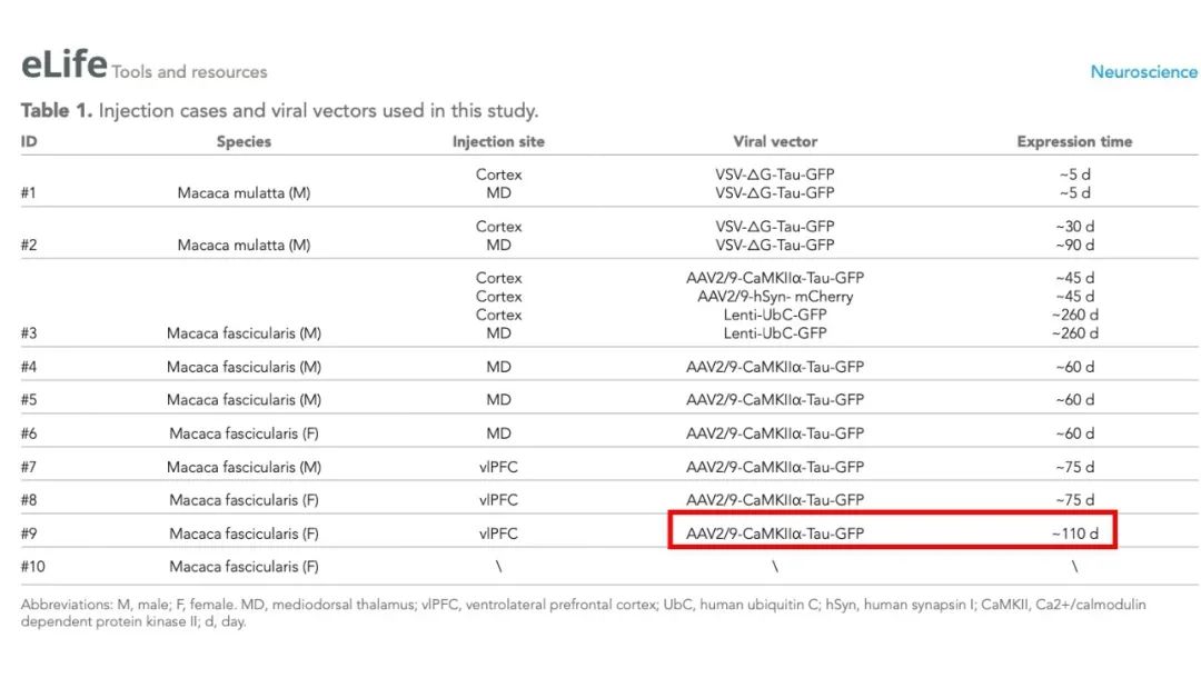 AAV、VSV和 LV在猕猴上的应用
